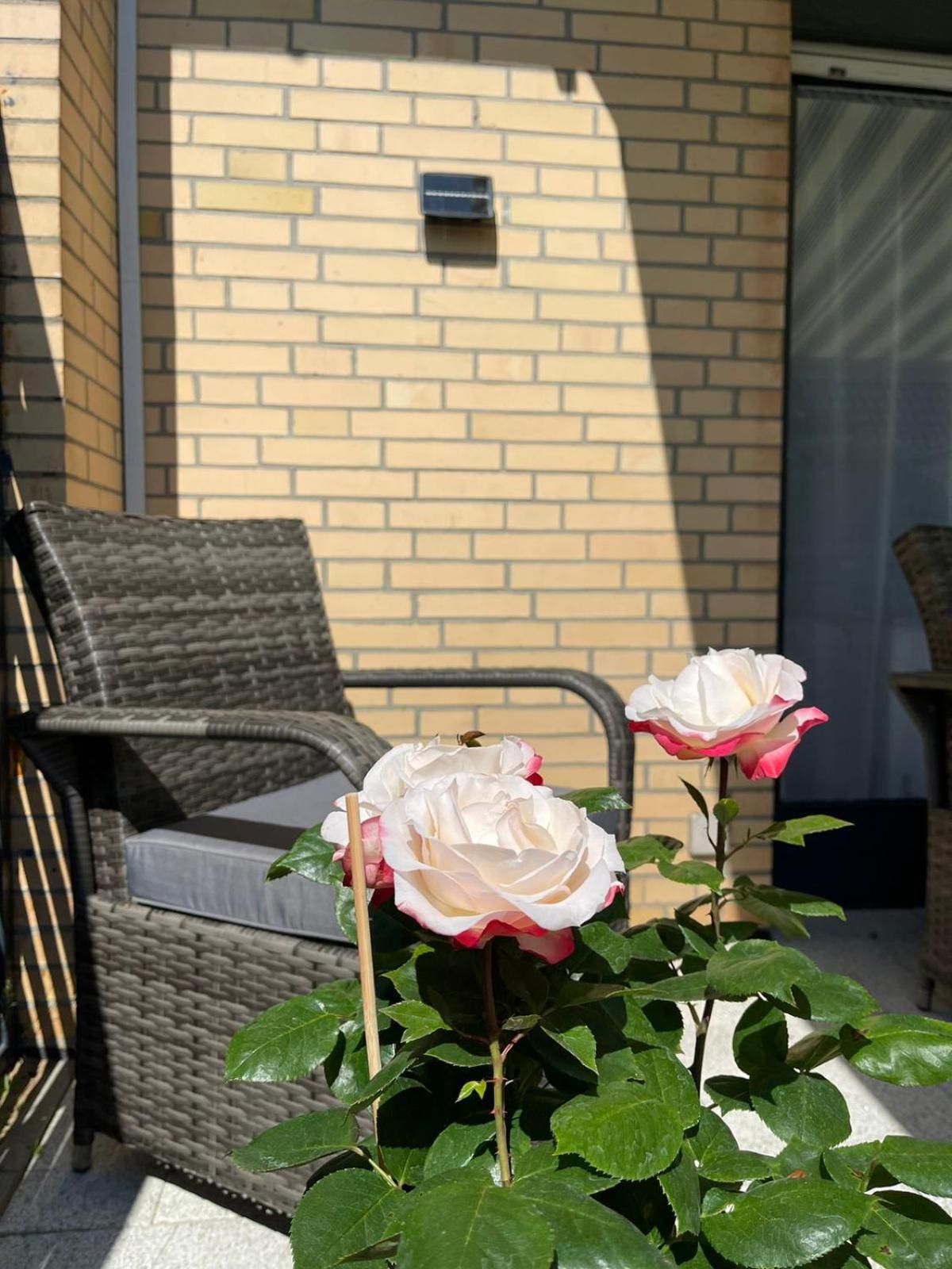Ferienwohnung Strandoase Inklusive Terrasse Und Parkplatz - Sonnenseite Scharbeutz Εξωτερικό φωτογραφία